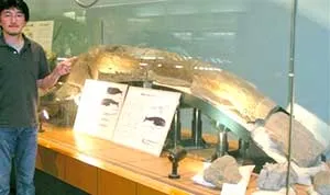 Phát hiện hóa thạch cá voi cổ nhất