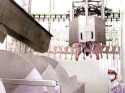 Nhà máy giết mổ gia cầm đầu tiên đạt chuẩn HACCP
