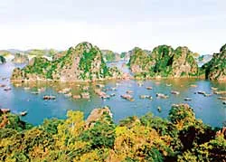 Khám phá Bái Tử Long – Quan Lạn