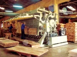 Cơ hội đầu tư GTA trên sàn