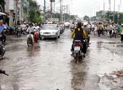 Con đường đau khổ ảnh 2