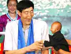 “Nhà tình thương” cho mèo ảnh 2