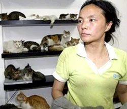 “Nhà tình thương” cho mèo