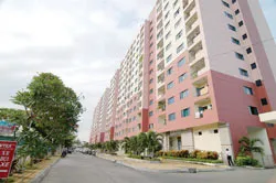 Bài 1 :  Phong cách Trần Quang Mỹ