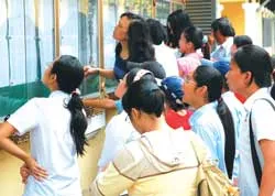 Nháo nhác tìm trường