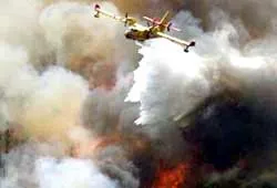 Pháp: Vẫn cháy rừng dữ dội