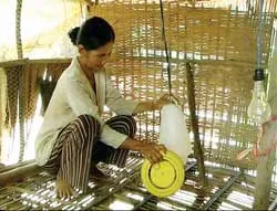 Đồng Tháp: “Gà sạch” cũng nhiễm H5N1