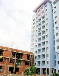 Bài 2: “Bán lúa non” lẽ nào bó tay?