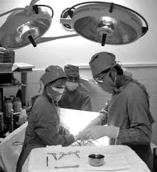 Bác sĩ giải phẫu thẩm mỹ... yêu thơ