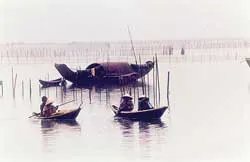 Nén nhang cho người nằm xuống