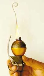 Bị bắt vì... hôn tranh ảnh 2