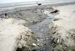 Bờ biển Vũng Tàu đang biến thành... bãi rác