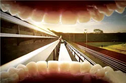 Bí mật của hơi thở thơm tho