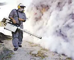 Số ca sốt xuất huyết tăng cao tại châu Á