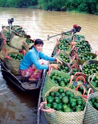 CTCK Chợ Lớn chính thức hoạt động ảnh 2