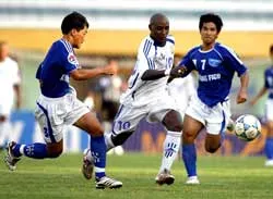 Mỗi cây, mỗi hoa... ảnh 1