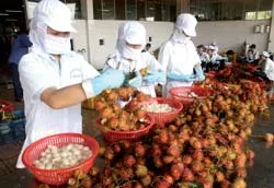 “Nóng” chuyện chất lượng và thủ tục