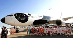 Máy bay gấu trúc tặng Trung Quốc