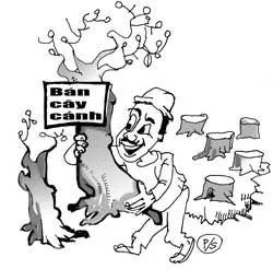 Ăn sẵn của rừng?!