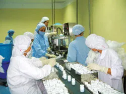 VPC đẩy mạnh kinh doanh dược phẩm