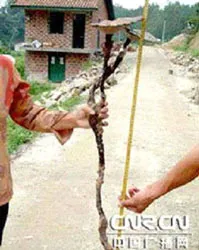 Coca-Cola đứng đầu các  nhãn hiệu nổi tiếng thế giới ảnh 2