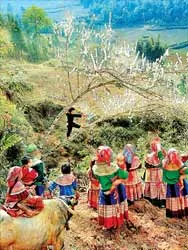 Nghệ sĩ nhiếp ảnh Nguyễn Á