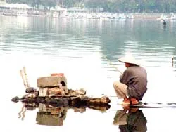 Lặng lẽ Hồ Tây ảnh 3