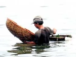 Lặng lẽ Hồ Tây