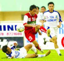 Giấc mơ giữa ban ngày ảnh 4