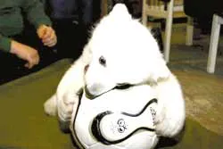 Gấu Knut có “hồi ký”