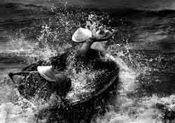 Tác giả Lê Tùng Khanh (Việt Nam) đoạt giải thưởng lớn