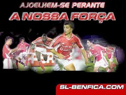 “Đại bàng” hay “Báo hồng”?