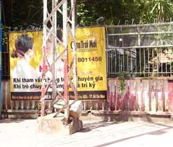 Phố sẽ đẹp hơn ảnh 2