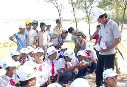 Giữ bông đá cho biển ảnh 2