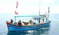 Giữ bông đá cho biển