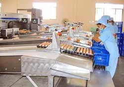 Trứng gia cầm Ba Huân: Khẳng định thương hiệu an toàn