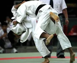 Sẽ nhiều hấp dẫn ảnh 1