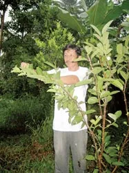 Bất ngờ... xứ sở cam sành ảnh 2