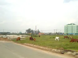 Phố còn xa lắm phường ơi