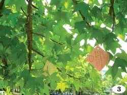 Một thoáng Fukuoka ảnh 3