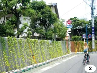 Một thoáng Fukuoka ảnh 2