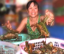 ĐBSCL: Con cua… “xua” con tôm!