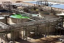 Pháp và Niger: Căng thẳng vì... uranium