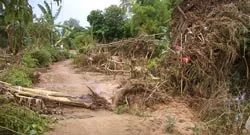 Nguy cơ dịch bệnh sau lũ