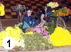 Chợ hoa đêm ảnh 2