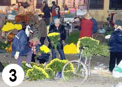 Chợ hoa đêm ảnh 4