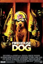 Phim chiếu rạp ảnh 2