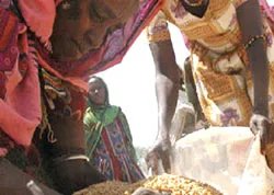 Châu Phi: Khổ vì lương thực trợ giá của Mỹ