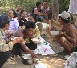 Cắt lúa thuê trên vùng lũ ảnh 2