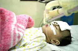 WHO cảnh báo nguy cơ dịch bệnh toàn cầu